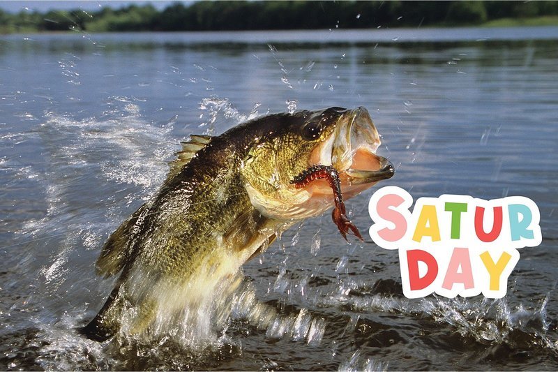 Big Bass Splash - Der große Fisch in deinem Pragmatic Play Slot, demo big bass splash
